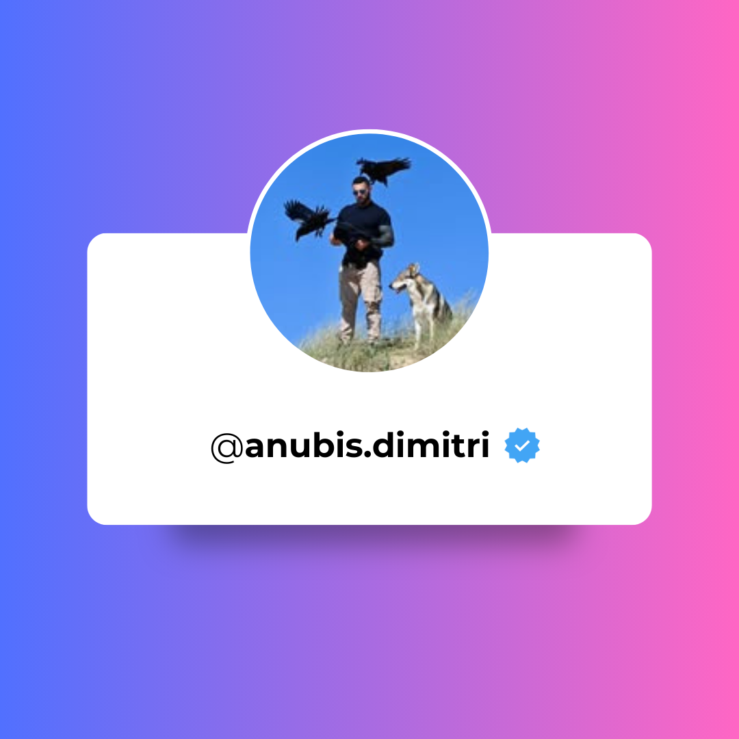 Box Instagram