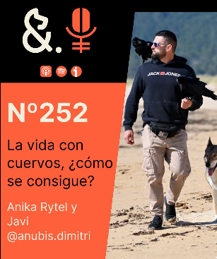 Perros y Punto