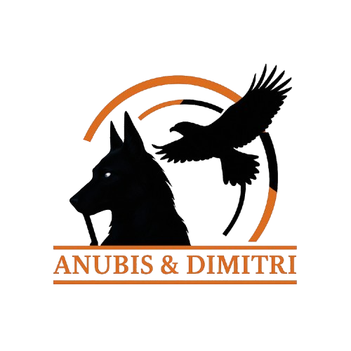 Website logo